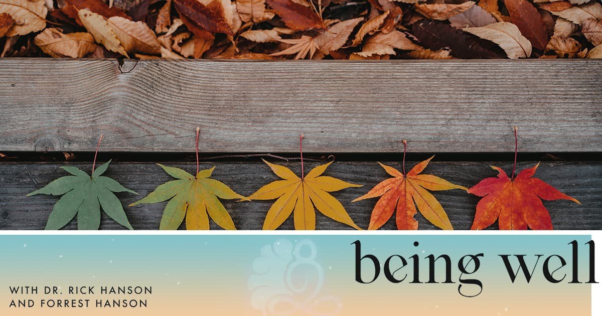 Kindness to You is Kindness to Me; Kindness to Me is Kindness to You