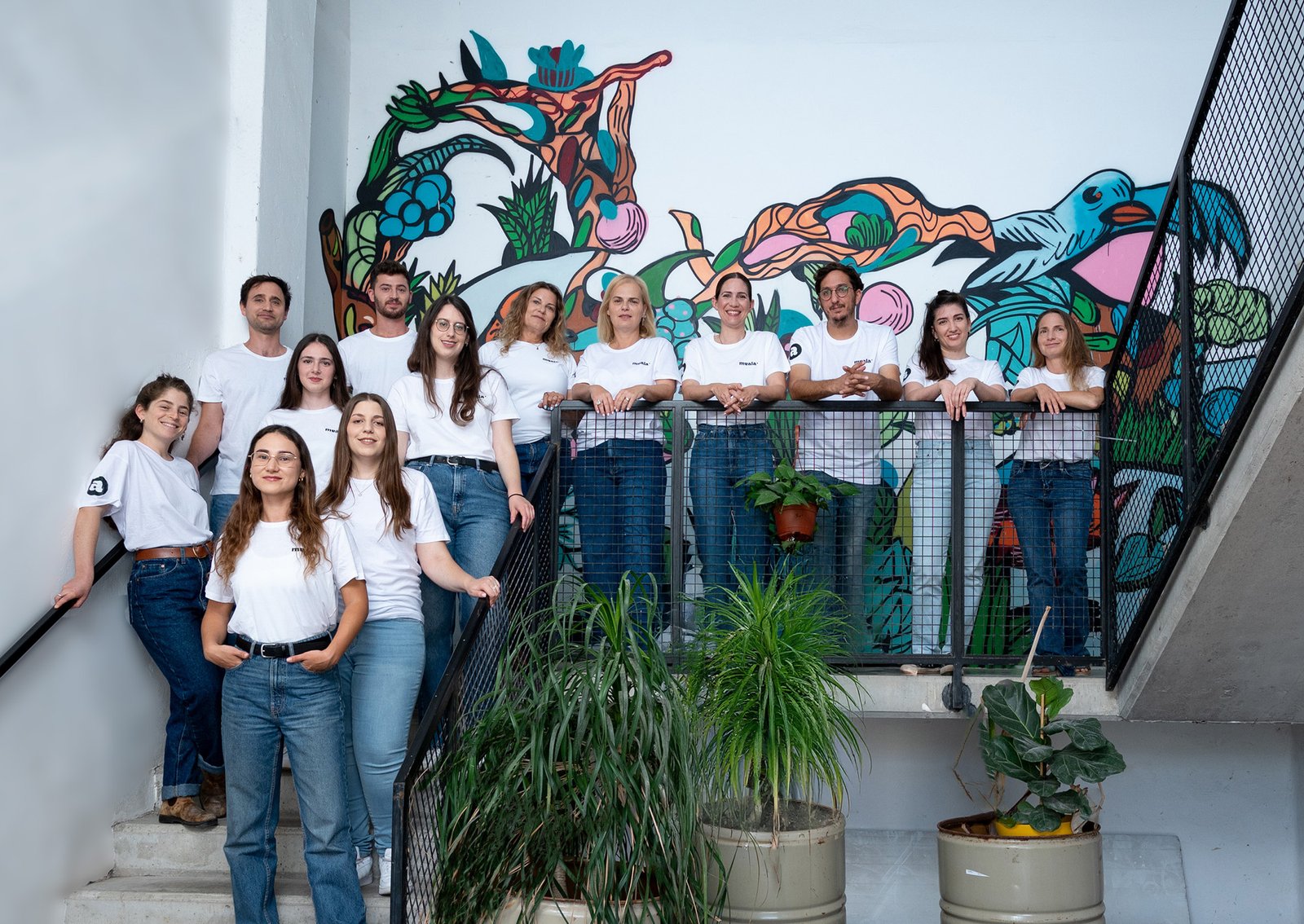 Meala FoodTech and dsm-firmenich Devut Vertis PB Pea, A Plant-Based Meat Alternative