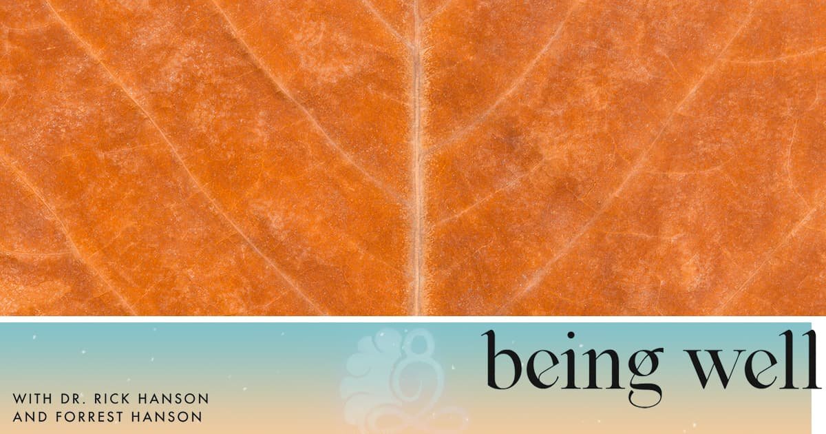 Being Well Podcast: What Really Helps Trauma? with Dr. Jacob Ham